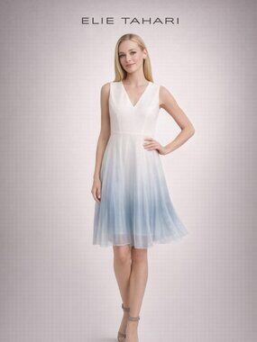Elie Tahari  Kemper Sleeveless Mesh Fit & Flare Dress